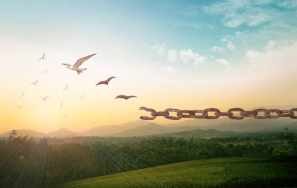 Silhouette of bird flying and broken chains at beautiful mountain and sky autumn sunset background